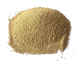 图片4.png 图片4.png